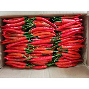 Chili fresco crudo procesado de Vietnam con embalaje personalizado del fabricante agrícola - Product Image 6