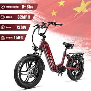 Wholesale 48v 750w Powerful Motor 31MPH Max Speed Design With 48v 20ah Lithium Battery Electric Bike