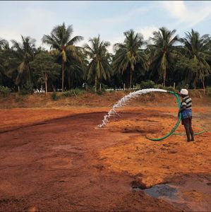 Bloc de tourbe de coco en vrac de la meilleure qualité avec emballage personnalisé pour plantes ornementales utilisation agricole autres applications - Product Image 4