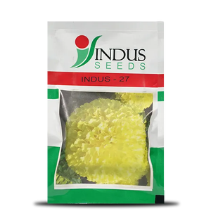 INDUS 27 MARIGOLD () Flores Secas Tipo de Procesamiento - Product Image 1