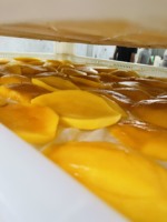 Zacht gedroogde mango Vietnamese groothandel_ What.app84972678053
