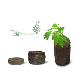 Venta a granel Coco Coir turba musgo/Coco turba Pellets con alta calidad y precio barato del fabricante Eco2go Vietnam - Product Image 6