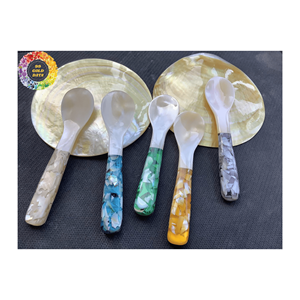 PRIX CHAUD MÈRE DE PERLE COQUILLE CUILLÈRE SET TOP VENTE CAVIAR NARCE CUILLÈRE VIBE DE LUXE POUR LES ÉVÉNEMENTS ROYAUX ET LA DÉCORATION DES FÊTES - Product Image 4