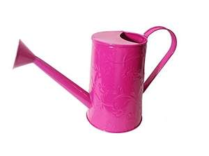 Regadera de metal de gran capacidad diseñada para un riego diario eficiente que proporciona un control estable para todo tipo de plantas - Product Image 5