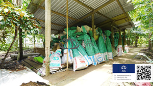 MEJOR VENTA Palo de escoba de coco Palo resistente duradero Ideal para la fabricación de escobas Limpieza diaria Interior Exterior Soporte para el hogar - Product Image 5