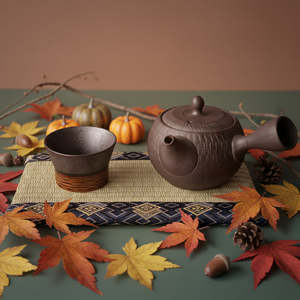 Asayu Traditional Japanese <b>Teapot</b> 360ml Tobikanna - Product Image 3