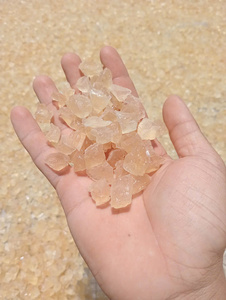 Agente de unión natural de árboles, origen de Sterculia Foetida, hecho en Vietnam para uso en alimentos y bebidas - Product Image 4