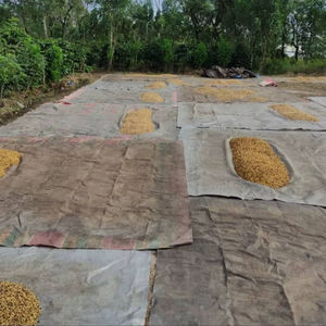 Oferta de Marca Privada: Granos de Café Arábica Tostados, Mezcla Personalizada en Venta - Product Image 1