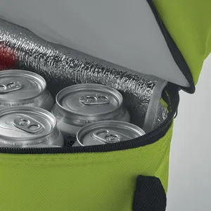 กล่องเก็บความเย็น Casey 2 ช่องแบบปรับแต่งได้ Borsa Frigo Merchandising - Product Image 1