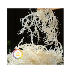 ALGUES SÉCHÉES NATURELLES Offre Spéciale DE COTTONII D'USINE DIRECTE MEILLEUR PRIX DANS L'APPROVISIONNEMENT EN VRAC AVEC L'EMBALLAGE DE SAC - Product Image 5