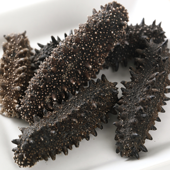 Wholesale Frozen Sea Cucumber in Stock Best Price Fast Delivery Low Price