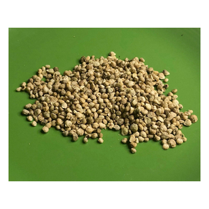 Semillas de espinacas naturales al por mayor - Product Image 5