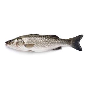 Nuevo producto en venta: Pescado congelado, pescado de mar, lubina congelada, precio - Product Image 5