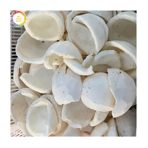 Suministro a Granel de Pulpa de Coco Congelada Rallada de Alto Rendimiento para Procesamiento Industrial de Alimentos e Ingrediente para Repostería - Product Image 2