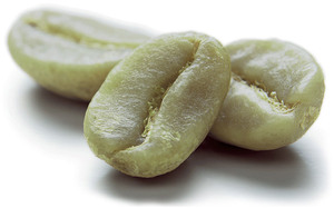 เมล็ดกาแฟคั่วอาราบิก้าออร์แกนิกจากบราซิลสำหรับกาแฟเอสเพรสโซแบบอิตาลี - Product Image 2