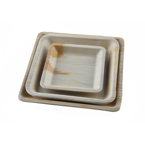 Platos cuadrados de vajilla desechable de hoja de palma biodegradable Natural 100% para bodas y servicio de alimentos a bajo precio - Product Image 1