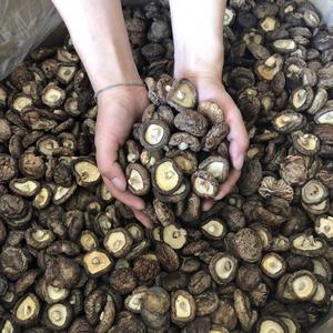 Champignons secs biologiques Délicieuses friandises pour champignons et produits naturels de haute qualité - Product Image 1