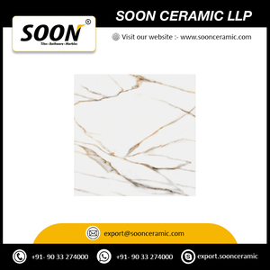 Azulejos de Porcelana para Piso 600x600 GVT/PGVT de Calidad de Exportación, Acabado Mate, Diseño Rústico, Antideslizantes, Antibacterianos, para Interiores y Exteriores - Product Image 2