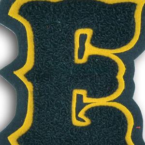 Vente en gros de patchs chenille de broderie de tissu personnalisés à bas quantité minimale de commande pour votre logo, style fleur thermocollant, OEM disponible - Product Image 2