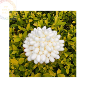 Cocons de soie vietnamiens: un matériau naturel et organique pour créer des tissus et des accessoires en soie de haute qualité - Product Image 5