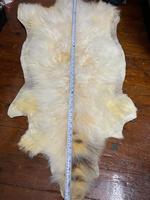 Peau de mouton d'agneau égyptienne Néfertiti, 100% naturelle, 700g, 60x120cm, forme naturelle, pour vêtements, sellerie automobile, usage textile domestique