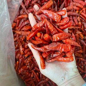 Offre Spéciale en gros naturel exportation piment rouge épicé chaud piment séché approvisionnement d'usine en stock livraison rapide - Product Image 2
