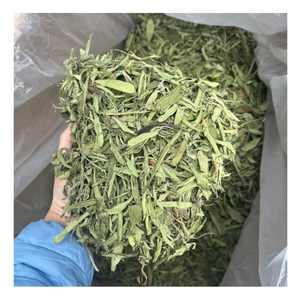 Feuille de stevia à la mode du Vietnam, feuille de stevia écologique pour le thé sucré, feuille de stevia naturelle dans la cuisson, simple pour une utilisation en cuisine - Product Image 3