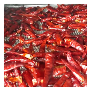 Piments rouges séchés au soleil de qualité supérieure, frais et chauds, longue durée de conservation, idéaux pour broyer en poudre fine, faire du curry et mariner - Product Image 2