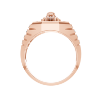 Bague tête de lion en or 14 carats avec diamant de laboratoire VS1-F serti à griffes, personnalisée, hip-hop, glacée, bijoux fins, bague de luxe, bague statement pour homme, IGI