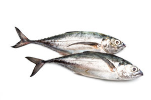 Pescado Scad Entero Congelado, Proveedor Mayorista de Mariscos de Primera Calidad - Product Image 6