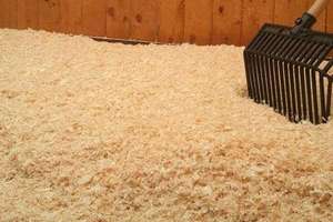 Giảm giá bán buôn dăm gỗ/gỗ mùn cưa/nông nghiệp chất thải cho xuất khẩu - Product Image 6