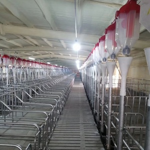 Nuevo alimentador y bebedero automático para cerdos, sistema eficiente de alimentación y riego para granjas porcinas - Product Image 6