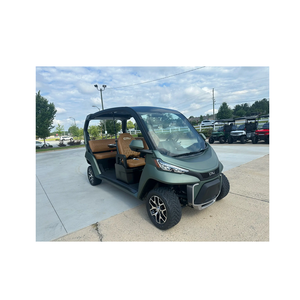 Nuevo Carro Ecológico de 2 y 4 Plazas con Bajas Emisiones - Product Image 1