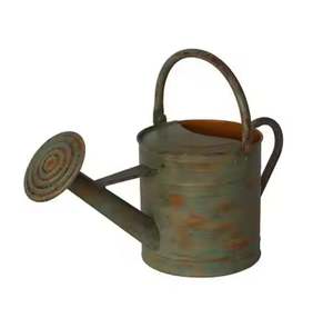 Regadera de hierro a un precio razonable Diseño fantástico Regadera Tamaño y forma personalizados Recubrimiento en Polvo puro - Product Image 4