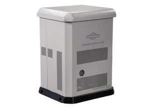 Moteur Vanguard PP13 de haute qualité NG/LPV 13kW générateur d'alimentation de secours pour un usage domestique - Product Image 2