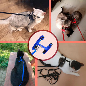 Imbracatura di Lusso per Gatti di Taglia Media con Guinzaglio, Stile Gilet Semplice, Colori Assortiti - Realizzata in Nylon e Poliestere per Animali Domestici di Taglia Grande e XL - Product Image 1