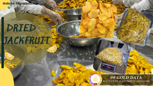 High <b>Quality</b> Vacuum Fried Jackfruit Chips Natural <b>Sweet</b> Taste Crispy Tropical Fruit Snack OEM Private Label Vietnam - Product Image 1