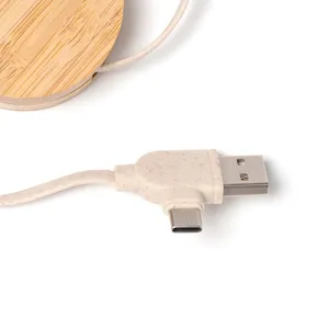 Adolfo Eco-Friendly USB <b>Charging</b> <b>Cable</b> for Promotional Gadgets - Product Image 2
