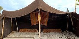 Tente traditionnelle du désert avec tapis et coussins à motifs pour le camping en plein air - Product Image 2
