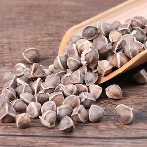 Mới đến <span class=keywords><strong>Moringa</strong></span> hạt giống tốt nhất <span class=keywords><strong>Moringa</strong></span> Hạt giống chất lượng cao <span class=keywords><strong>Moringa</strong></span> hạt giống để bán ở mức giá tốt - Product Image 1