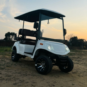 Every Ride4 Seater Golf Cart Electric Golf Cart Premium Golf <b>Buggy</b> - Product Image 1