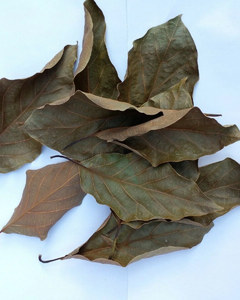 Feuilles d'avocat séchées en vrac |   INGRÉDIENT DE THÉ AUX HERBES - Product Image 1