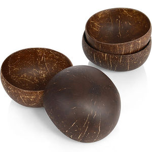 Bols en coquille de noix de coco de haute qualité ensemble de cuillères en bois poli biodégradable naturel écologique pour les fêtes quantité en vrac pas cher - Product Image 1