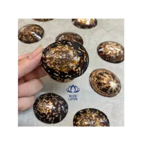 장식용 원료-음식 서빙용 림펫 달팽이 껍질 가리비 껍질 4-5 인치, DIY 공예용 대형 베이킹 쉘