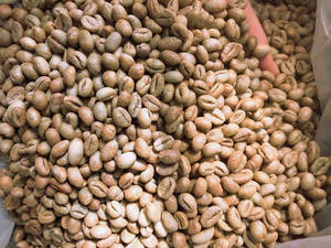 Grains de café vert Robusta biologique de qualité supérieure S18, brisures noires uniquement, 0,1 %, certifié USDA, norme d'exportation, marque TNFOOD, qualité AA+ 98 % - Product Image 2