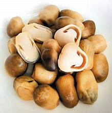 SETA SALADA DE CULTIVO SILVESTRE/BUENZA A BASE DE PLANTAS/SIN CONSERVADORES - Product Image 4