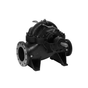 CENTRIFUGAL PUMP OF TWO-WAY SUCTION KAR