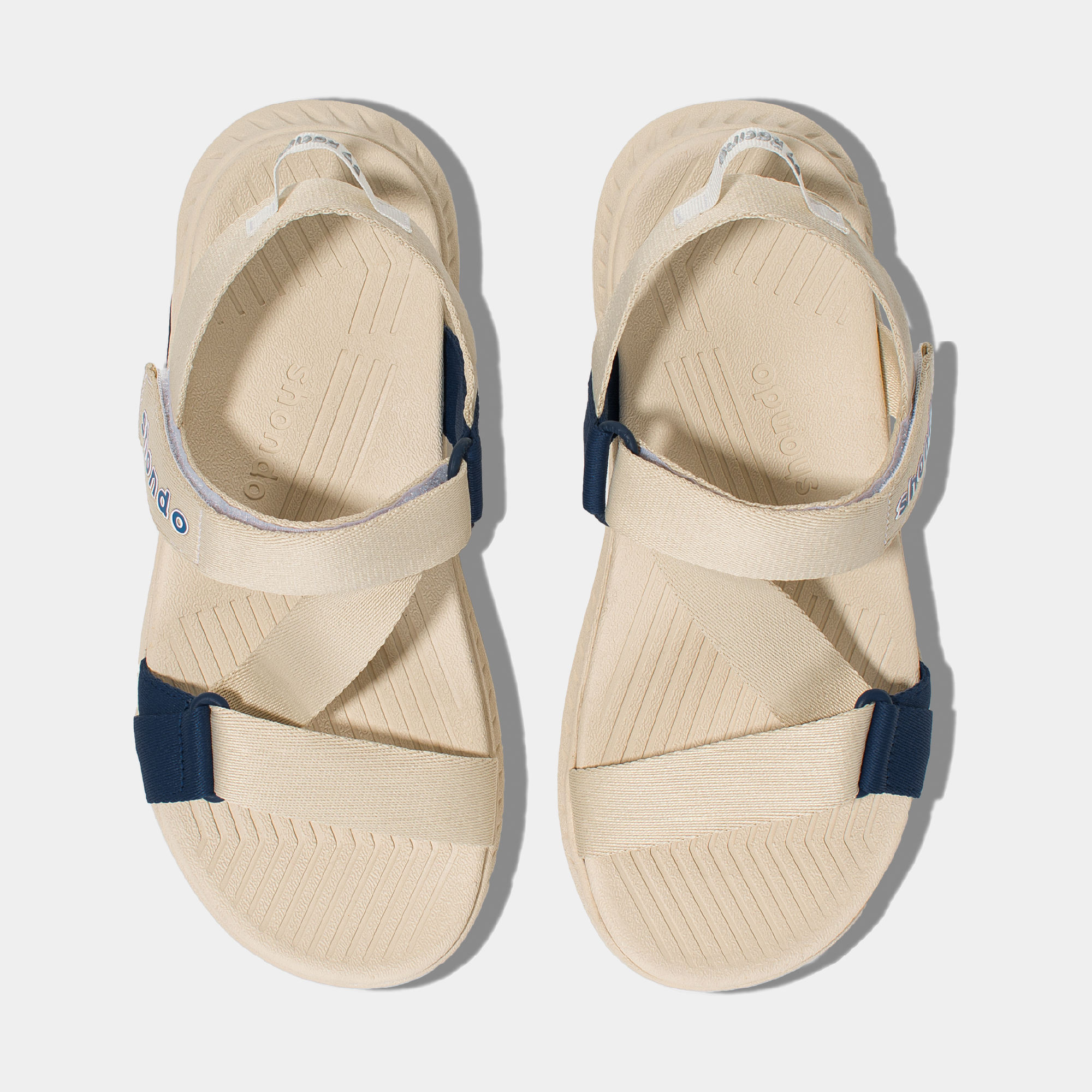 Beige with Blue Accents