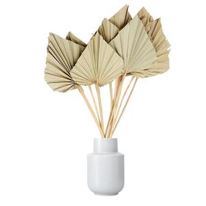 Natural Dry Palm Leaf Decorative Preserved <b>Fan</b> Leaves for Room and Party Decoration for Valentine's Day Christmas and Easter - Product Image 6