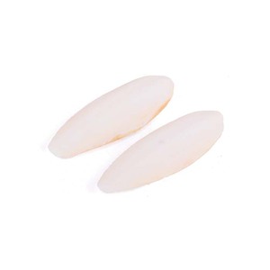 Os de seiche pour les routines de soins d'oiseaux disponibles à des tarifs avantageux - Product Image 5